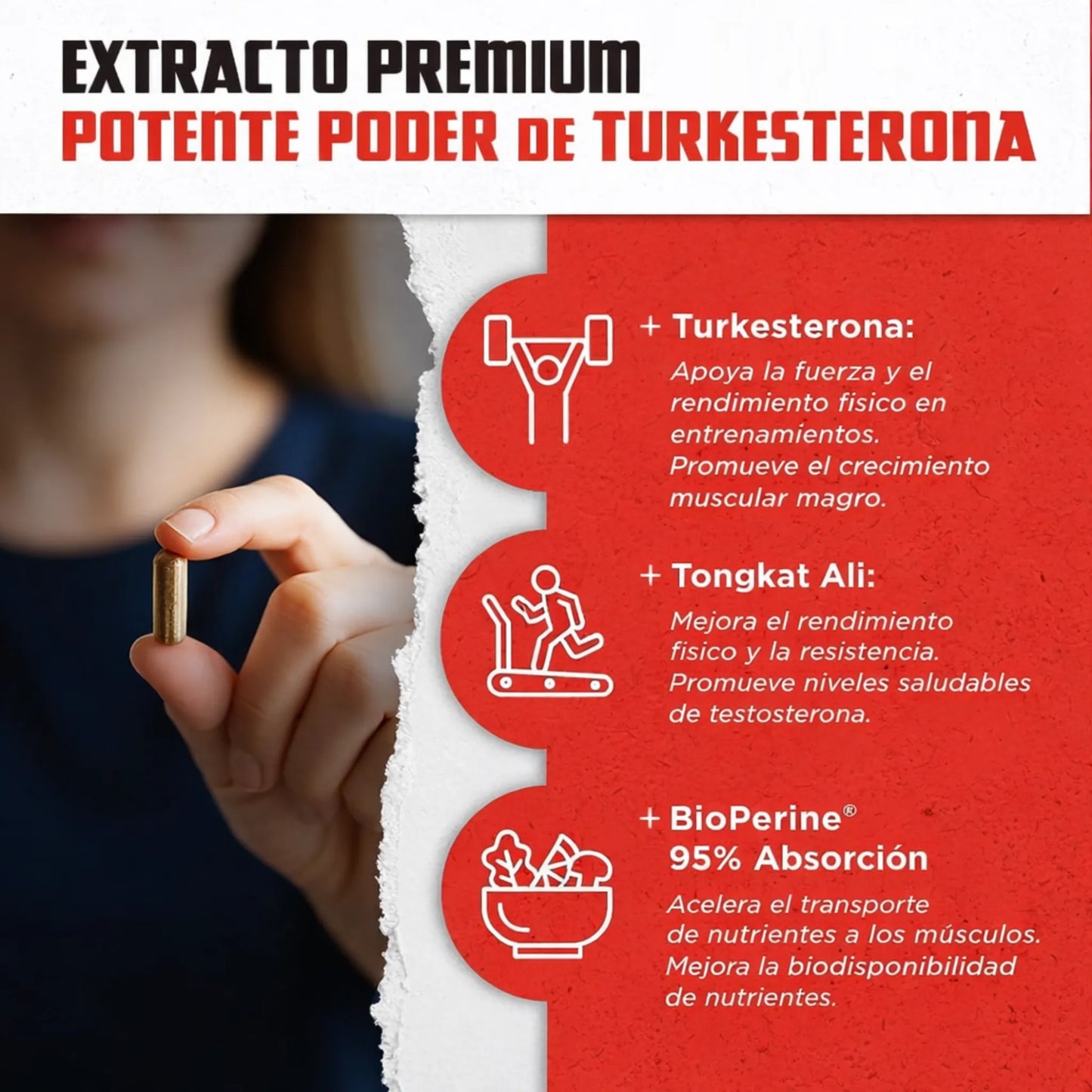 Turkesterone Testosterona