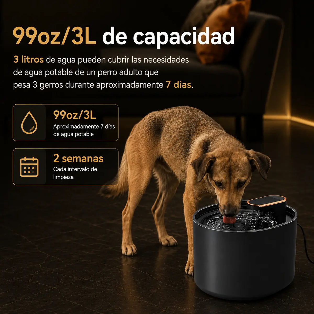 Fuente Premium Mascotas