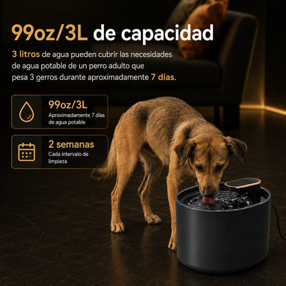 Fuente Premium Mascotas